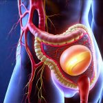 Advanced methods for checking gut nerve response