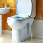 Bathroom Instability From Under-Seasoned Food Cycles