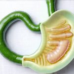 Best ways to check if your stomach empties too slowly