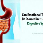 Can Emotional Trauma Be Stored in the Digestive System?