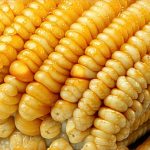 Comforting Meal Textures That Promote Digestive Ease