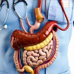Digestive health panels included in annual checkups