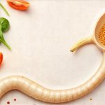 Food Textures That Are Easier On Sensitive Stomachs