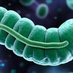 GERD and the Role of Gut Microbiome Balance