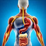 GERD in Athletes: Diet and Exercise Adjustments