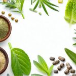 Herbal Formulas That Regulate Digestive Pressure