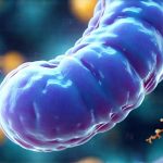 How diagnostics guide better prebiotic use