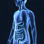How full-body scans can give digestive insights