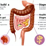 How to build a complete gut health profile with diagnostics