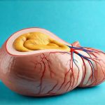 How to Differentiate GERD from a Panic Attack
