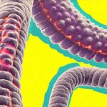 How to know if you should get your microbiome tested