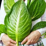 How to Reduce Bloating on a Plant-Based Diet