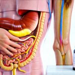How to Spot Early Signs of Malabsorption