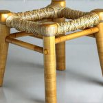 Loose Stools Linked to Zero-Fiber Detox Protocols