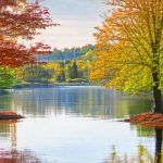 Managing GERD Symptoms During Seasonal Transitions