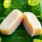 Plant-Based Proteins That Don’t Cause Fermentation