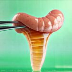 Saliva-based testing for digestive enzymes and absorption