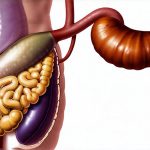 Scans and labs that help detect gallbladder dysfunction