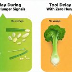 Stool Delay During Days With Zero Hunger Signals