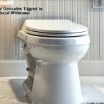 Stool Disruption Triggered by Social Withdrawal