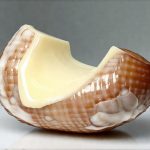 Stool Hardness After Removing Dairy From the Diet