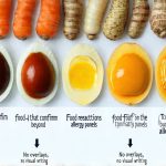 Tests that confirm food reactions beyond allergy panels
