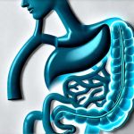 The Effects of Aging on Gas and Digestive Efficiency