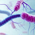 The Link Between Helicobacter Pylori and Gas Symptoms