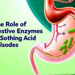 The Role of Digestive Enzymes in Soothing Acid Episodes