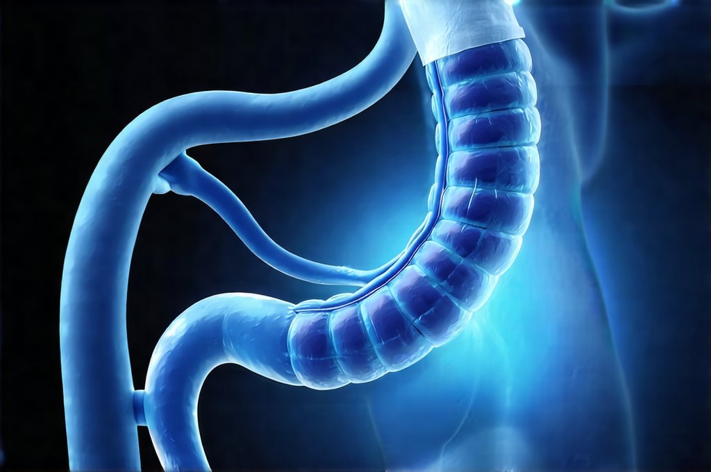 The Role of Gastrin Hormone in Regulating Stomach Gas