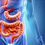 The Role of Slow Gastric Motility in Bloating Disorders