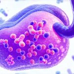 Tools doctors use to detect gut bacteria imbalances