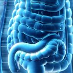 Tracking symptoms across the gut with digital monitoring
