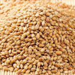 Why Unsoaked Grains May Be Harder to Digest