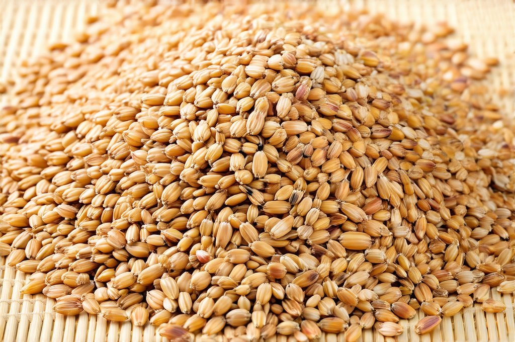 Why Unsoaked Grains May Be Harder to Digest