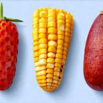 Easy Snacks for GERD, Bloating, and IBS-Friendly Eating