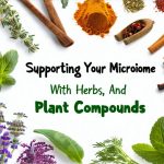 Supporting Your Microbiome With Herbs, Spices, And Plant Compounds