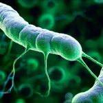 Using Gut Microbiota Testing To Guide Personalized Nutrition Plans